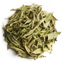 Verveine - Lemon Verbena (Organic)