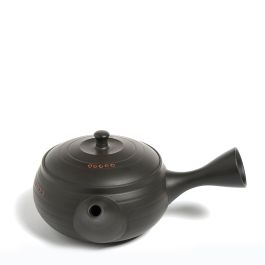 How to Use a Kyusu or Traditional Japanese Teapot