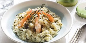 Risotto with Sencha Ariake and Prawns