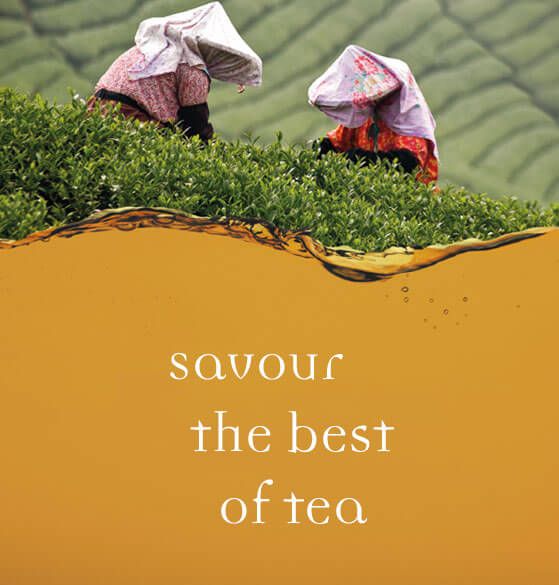 Savour the best of tea