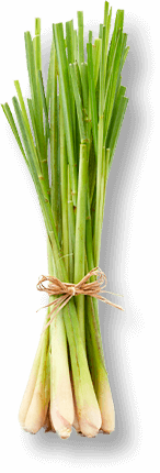 Lemongrass