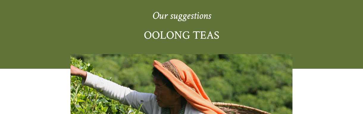 Oolong Tea