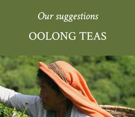 Oolong Tea