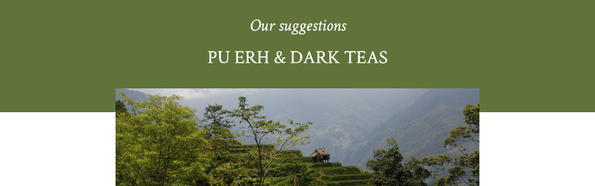 Pu Erh Tea