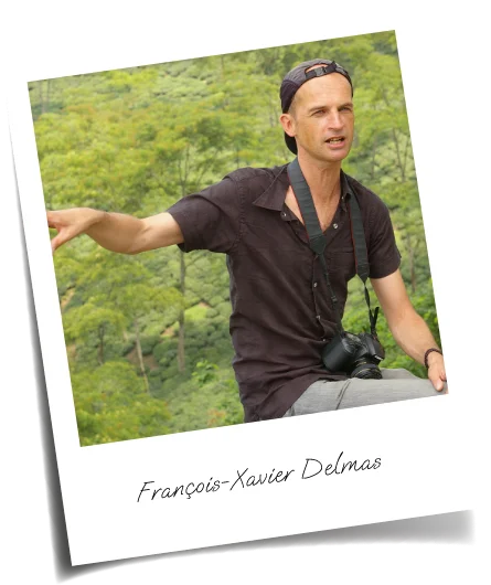 François-Xavier Delmas