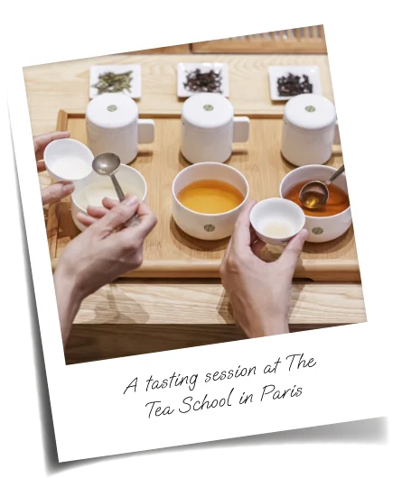 A tasting session at The Tea School in Paris