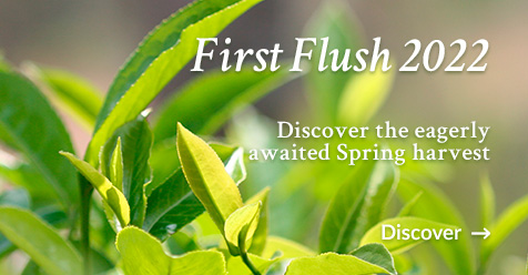 Spring Harvest (First Flush)